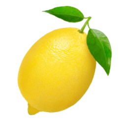 Lemon Economists logo